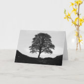 プラタナスのギャップの挨拶状 カード (黄色い花)