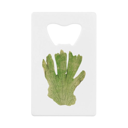 プラチセリウムのグランデ（ジャイアントスタグホルンシダ）シダの葉 クレジットカード栓抜き (正面)