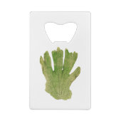 プラチセリウムのグランデ（ジャイアントスタグホルンシダ）シダの葉 クレジットカード栓抜き (裏面)