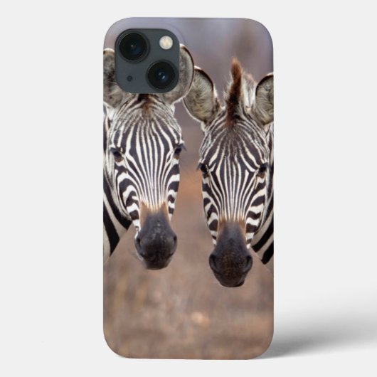 プラチナシマウマ、クルーガー国立公園 Case-Mate iPhoneケース (裏面)