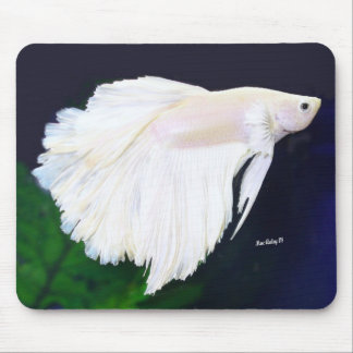 プラチナBettaの魚 マウスパッド