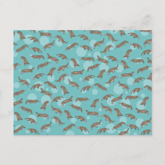 プラットパイズスイミング ポストカード (正面)