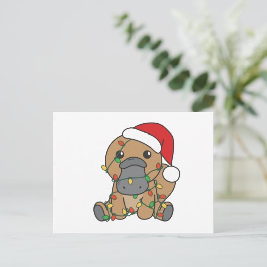 プラットプスクリスマスウィンターアニマルズホリデープラットプス シーズンポストカード (スタンド正面)