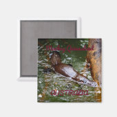 プラティプスエウンゲラナショナルパークオーストラリア マグネット (正面/裏面)