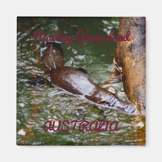 プラティプスエウンゲラナショナルパークオーストラリア マグネット (正面)