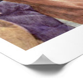 プラトバイラファエル ポスター (角)