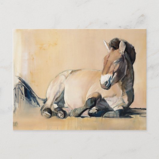 プラトー・サン ポストカード (正面)