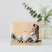 プラトー・サン ポストカード (スタンド正面)