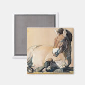 プラトー・サン マグネット (正面/裏面)