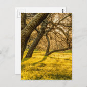 プラドパーク、モンテビデオ、ウルグアイ ポストカード (正面/裏面)