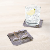 プラハのスワンとチャールズの橋 ペーパーコースター (インサイチュ)