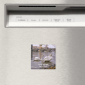 プラハのスワンとチャールズの橋 マグネット (インサイチュ (食洗機))