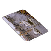 プラハのスワンとチャールズ橋 マグネット (右側)