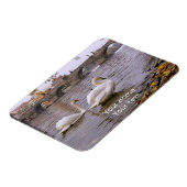 プラハのスワンとチャールズ橋 マグネット (左側)