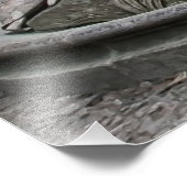 プラハのネプチューン像の噴水 フォトプリント            (角)