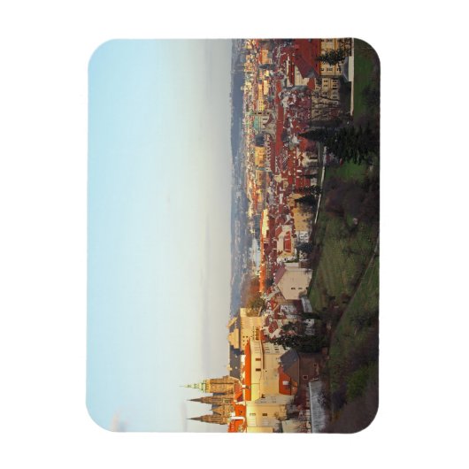 プラハのパノラマ マグネット (縦)