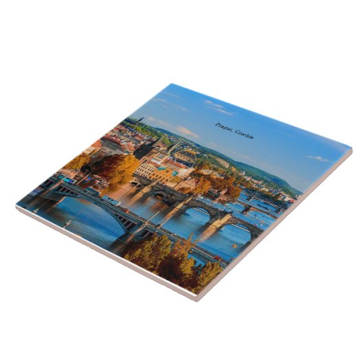 プラハチェコ橋 タイル (側面)