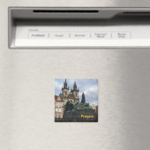 プラハ冷蔵庫用マグネット マグネット (インサイチュ (食洗機))