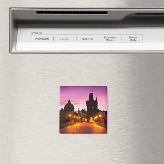 プラハ003A マグネット (インサイチュ (食洗機))