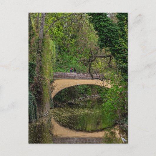 プラハ，チェコ共和国 ポストカード (正面)