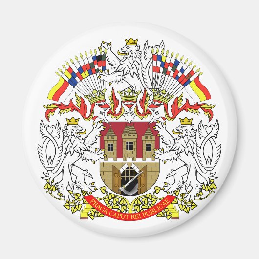 プラハ（チェコ） マグネット (正面)