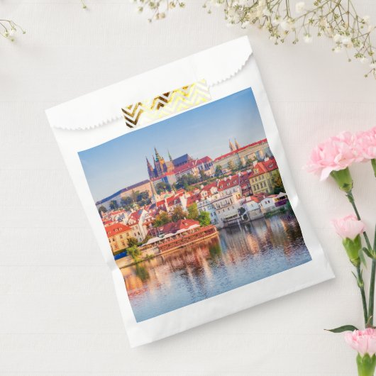 プラハ フェイバーバッグ (封をした状態)