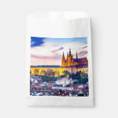 プラハ フェイバーバッグ (正面)