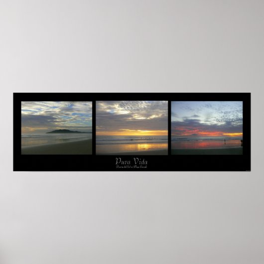 プラビダ ポスター (正面)