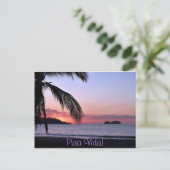 プラビダ！ ポストカード (スタンド正面)