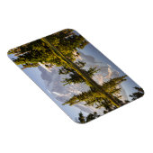 プラマーのピーク付近の沼に反射したレイニエ山 マグネット (右側)