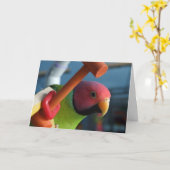 プラムはインコの挨拶状の先頭に立ちました カード (黄色い花)