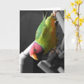 プラムはインコの挨拶状の先頭に立ちました カード (黄色い花)