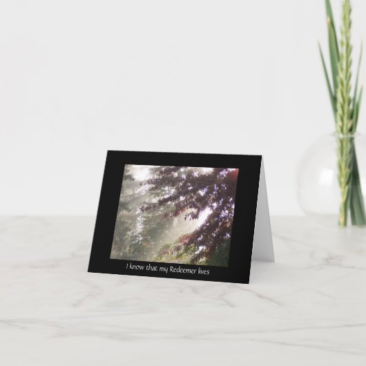 プラムツリー悔やみや弔慰カード カード (正面)