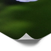 プラムバゴ岬 ポスター (角)