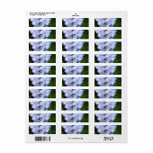 プラムバゴ岬 ラベル (フルシート)