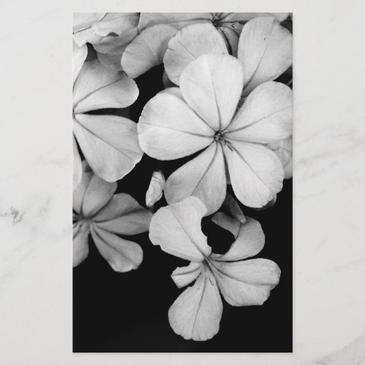 プラムバゴ岬 便箋 (正面)