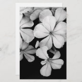 プラムバゴ岬 便箋 (正面/裏面)