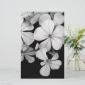 プラムバゴ岬 便箋 (スタンド正面)