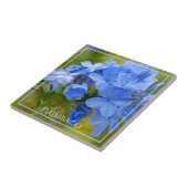 プラムバゴ-青い夏の花の自然写真 タイル (側面)