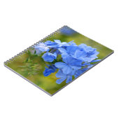 プラムバゴ – Blue Summer Flowers写真 ノートブック (左側)