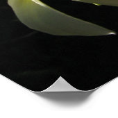 プラムリアハワイアン熱帯花ポスタープリント ポスター (角)