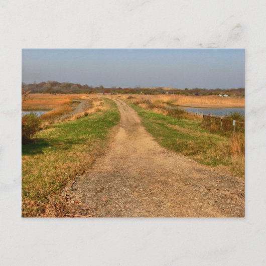 プラム島のポストカード ポストカード (正面)