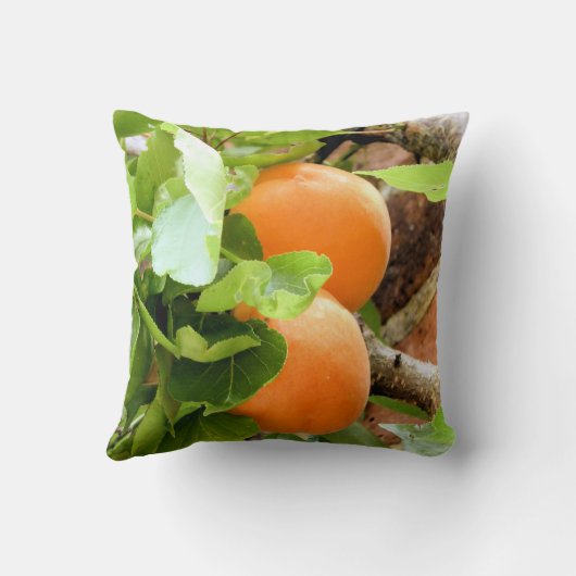 プラム クッション (裏面)