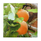 プラム タイル (正面)