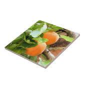 プラム タイル (側面)