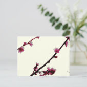 プラム ポストカード (スタンド正面)