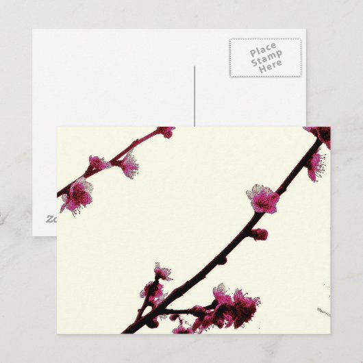プラム ポストカード (正面/裏面)