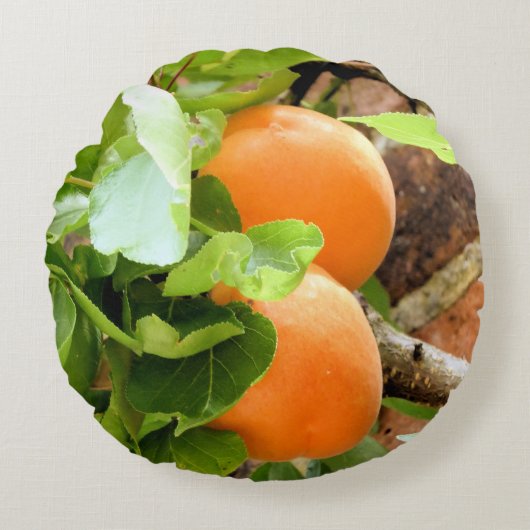 プラム ラウンドクッション (正面)