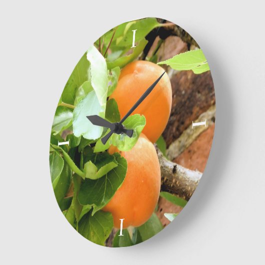 プラム ラージ壁時計 (傾斜)