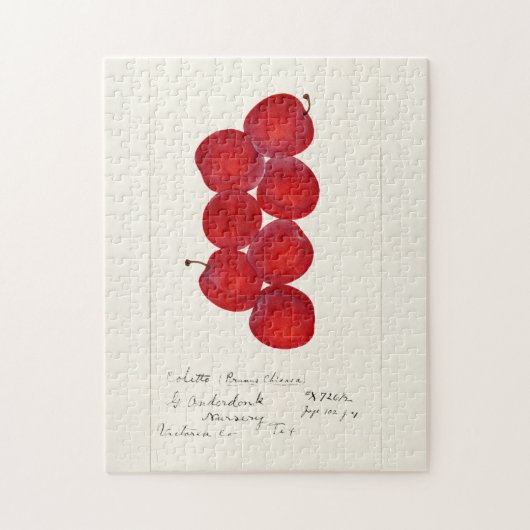 プラム(Prunus Domestica)果実水色絵画の ジグソーパズル (縦)